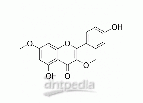 HY-N3415 Kumatakenin | MedChemExpress (MCE)