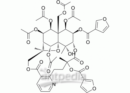 Triptonine B | MedChemExpress (MCE)