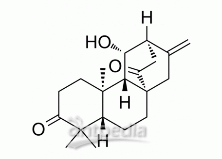 HY-N3811 ent-11β-Hydroxyatis-16-ene-3,14-dione | MedChemExpress (MCE)