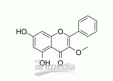 3-O-Methylgalangin | MedChemExpress (MCE)