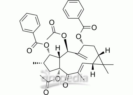 HY-N5001 Euphorbia Factor L2 | MedChemExpress (MCE)