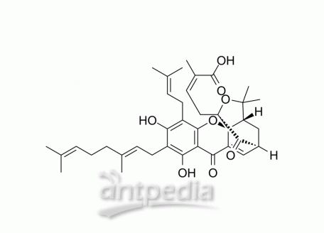 HY-N5024 Gambogenic acid | MedChemExpress (MCE)