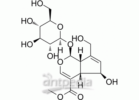 HY-N6249 Feretoside | MedChemExpress (MCE)