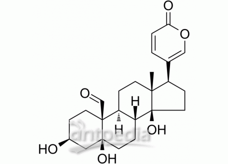 HY-N6576 Hellebrigenin | MedChemExpress (MCE)
