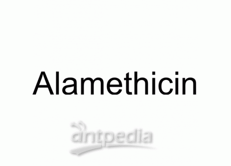 HY-N6708 Alamethicin | MedChemExpress (MCE)