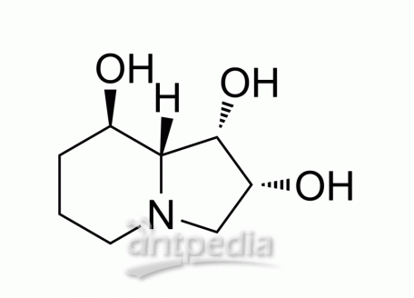 HY-N6722 Swainsonine | MedChemExpress (MCE)