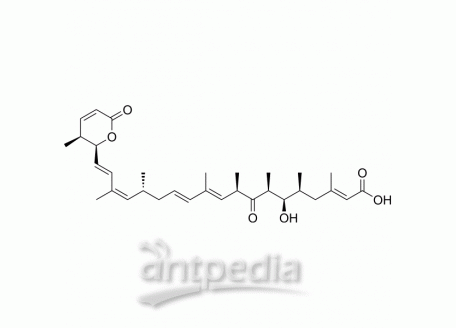 Leptomycin A | MedChemExpress (MCE)