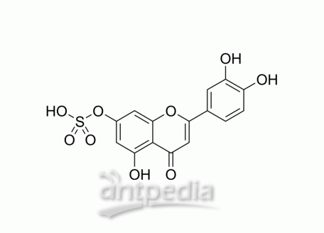 Luteolin 7-sulfate | MedChemExpress (MCE)