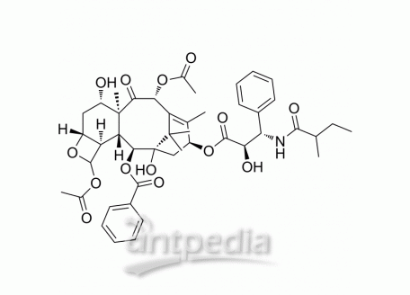 Dihydrocephalomannine | MedChemExpress (MCE)