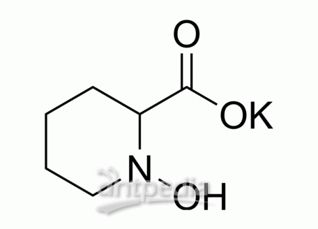 N-Hydroxypipecolic acid potassium | MedChemExpress (MCE)