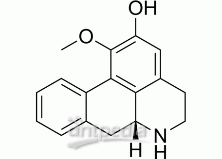 Asimilobine | MedChemExpress (MCE)