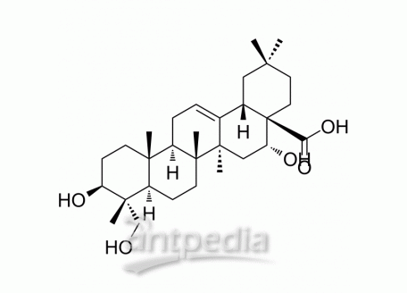 HY-N7687 Caulophyllogenin | MedChemExpress (MCE)