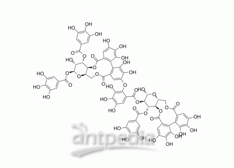 HY-N7765 Oenothein B | MedChemExpress (MCE)