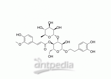 Leucosceptoside A | MedChemExpress (MCE)