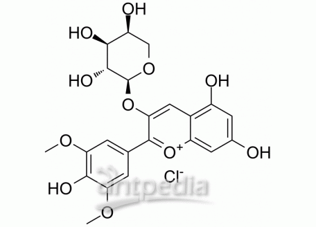 Malvidin-3-O-arabinoside chloride | MedChemExpress (MCE)