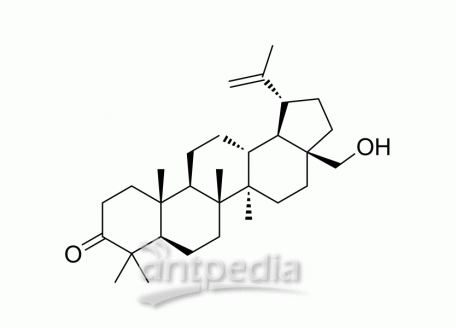 HY-N9378 3-Oxobetulin | MedChemExpress (MCE)