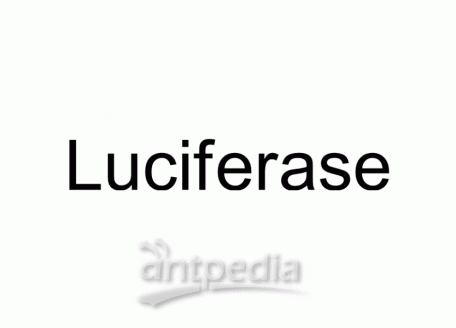 Luciferase | MedChemExpress (MCE)