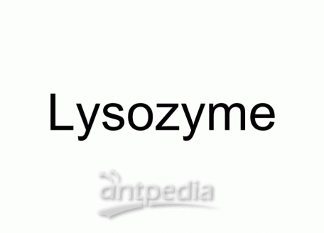 HY-P1068 Lysozyme | MedChemExpress (MCE)
