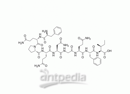 HY-P1571 Nucleoprotein (396-404) | MedChemExpress (MCE)