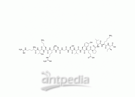 Fc-gamma Receptor | MedChemExpress (MCE)