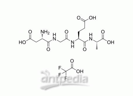 α2β1 Integrin Ligand Peptide TFA | MedChemExpress (MCE)