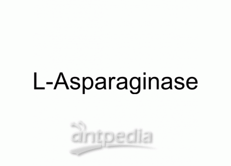 L-Asparaginase | MedChemExpress (MCE)