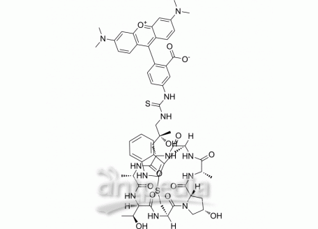 HY-P2270 Phalloidin-TRITC | MedChemExpress (MCE)