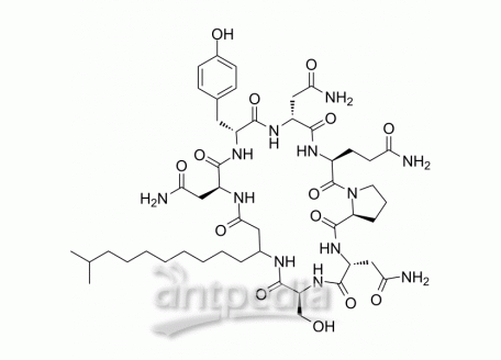 HY-P2322 Iturin A | MedChemExpress (MCE)