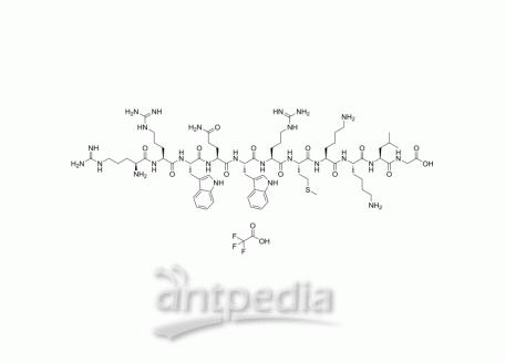 Ubiquitin-Conjugating Enzyme E2 H | MedChemExpress (MCE)