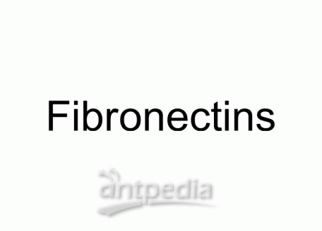 HY-P3160 Fibronectin | MedChemExpress (MCE)
