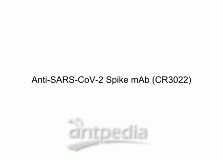 HY-P9807 Anti-SARS-CoV-2 Spike mAb (CR3022) | MedChemExpress (MCE)