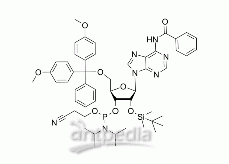 HY-W006102 Bz-rA Phosphoramidite | MedChemExpress (MCE)