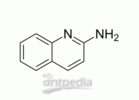 HY-W007524 2-Aminoquinoline | MedChemExpress (MCE)