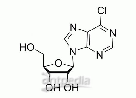 Chloropurine riboside | MedChemExpress (MCE)