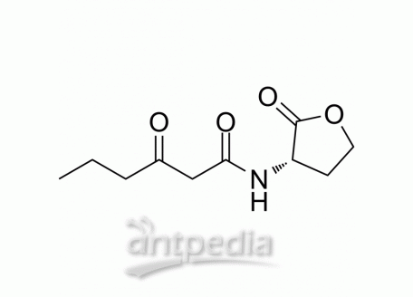 HY-W008806 N-(3-Oxohexanoyl)-L-homoserine lactone | MedChemExpress (MCE)