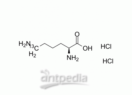 L-Lysine6-13C dihydrochloride | MedChemExpress (MCE)