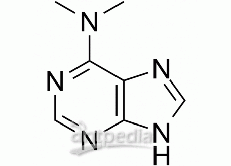 HY-W010128 6-(Dimethylamino)purine | MedChemExpress (MCE)