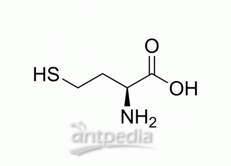 HY-W010347 L-Homocysteine | MedChemExpress (MCE)