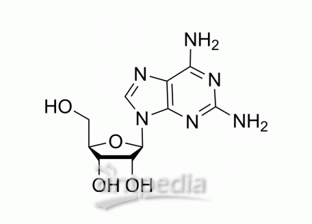 HY-W011548 2-Aminoadenosine | MedChemExpress (MCE)
