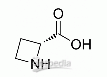 (R)-Azetidine-2-carboxylic acid | MedChemExpress (MCE)