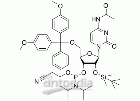 Ac-rC Phosphoramidite | MedChemExpress (MCE)