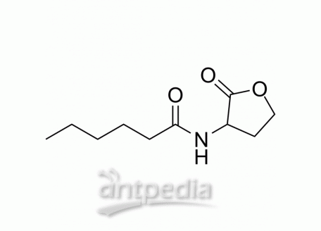 N-Hexanoyl-DL-homoserine lactone | MedChemExpress (MCE)