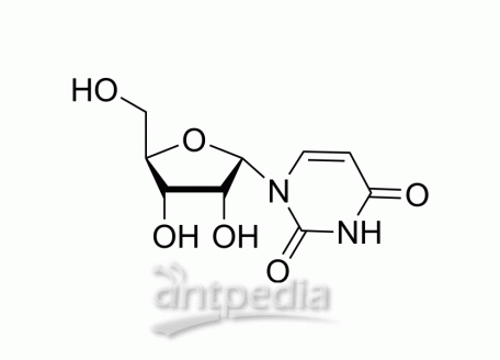 HY-W128112 1-(a-D-ribofuranosyl)uracil | MedChemExpress (MCE)