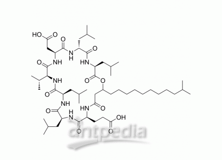 Surfactin C1 | MedChemExpress (MCE)