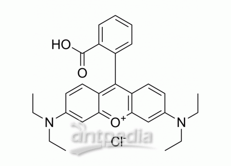 Rhodamine B | MedChemExpress (MCE)