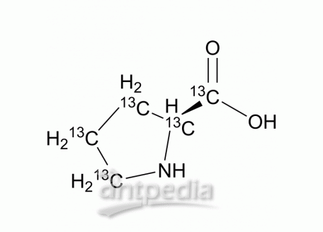 HY-Y0252S L-Proline-13C5 | MedChemExpress (MCE)