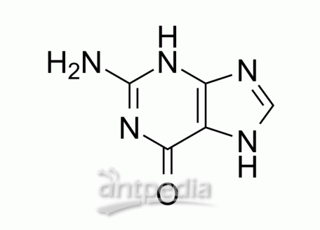 HY-Y1055 Guanine | MedChemExpress (MCE)