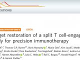 与T细胞结合的抗体衍生物靶向修复用于精准免疫治疗