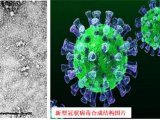 “新冠病毒与颗粒”讨论之一——气溶胶对病毒传播的影响与防控