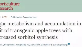 师徒篇 | 果树逆境生物学团队揭示山梨醇—果糖代谢在苹果糖含量与代谢调控中的作用